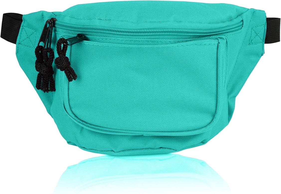 aqua fanny pack