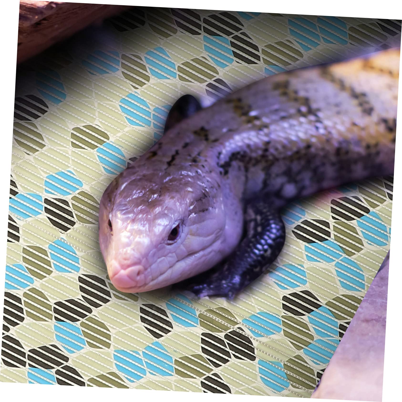 Tappeto Rettile Riutilizzabile in Poliestere per Serpenti | Liner per Terrario, Morbido e Resistente All’umidità, Adatto a Rettili e Tartarughe, Formato Pratico