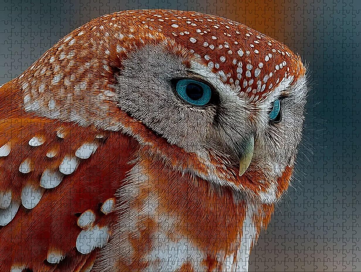 Animal Puzzle 5000 elementów dla dorosłych, drewniane puzzle 156 x 105 cm, gra edukacyjna dla dorosłych z wykwintnym pudełkiem do pakowania, kolekcja relaksująca gra, prezent dla dziewczyny, dekoracja