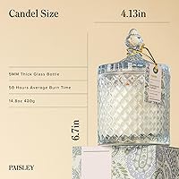 Vista 2 de Vela perfumada de citronela y jengibre, cera de soja natural 14.8, velas grandes con mecha de madera para el hogar, 70 horas de tiempo