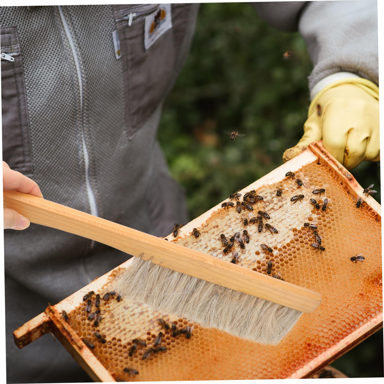 BESPORTBLE 3pezzi Per Apicoltura Setole Morbide e Strumento Portatile Per Apicoltori Utensile Per La e Abbigliamento Attrezzatura Resistente e