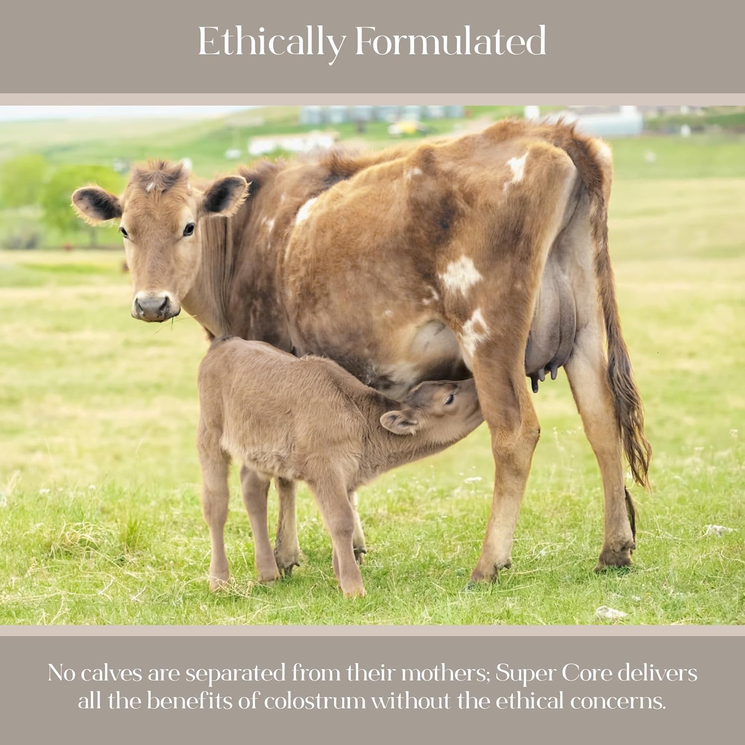 KROMA. IgG Power Dairy-Free | Gut Health & Immune Support Supplement | Bovine Colostrum Alternative with ImmunoLin®, Human Lactoferrin (effera™) & HMO | Non-GMO, Clean Ingredients - Image 6