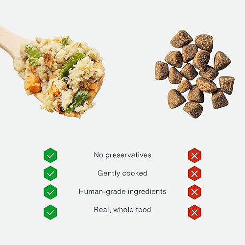 Miniatura 10 de JustFoodForDogs Frozen Fresh - Alimento para perros de grado humano, remedio equilibrado, 18 onzas (paquete de 21)