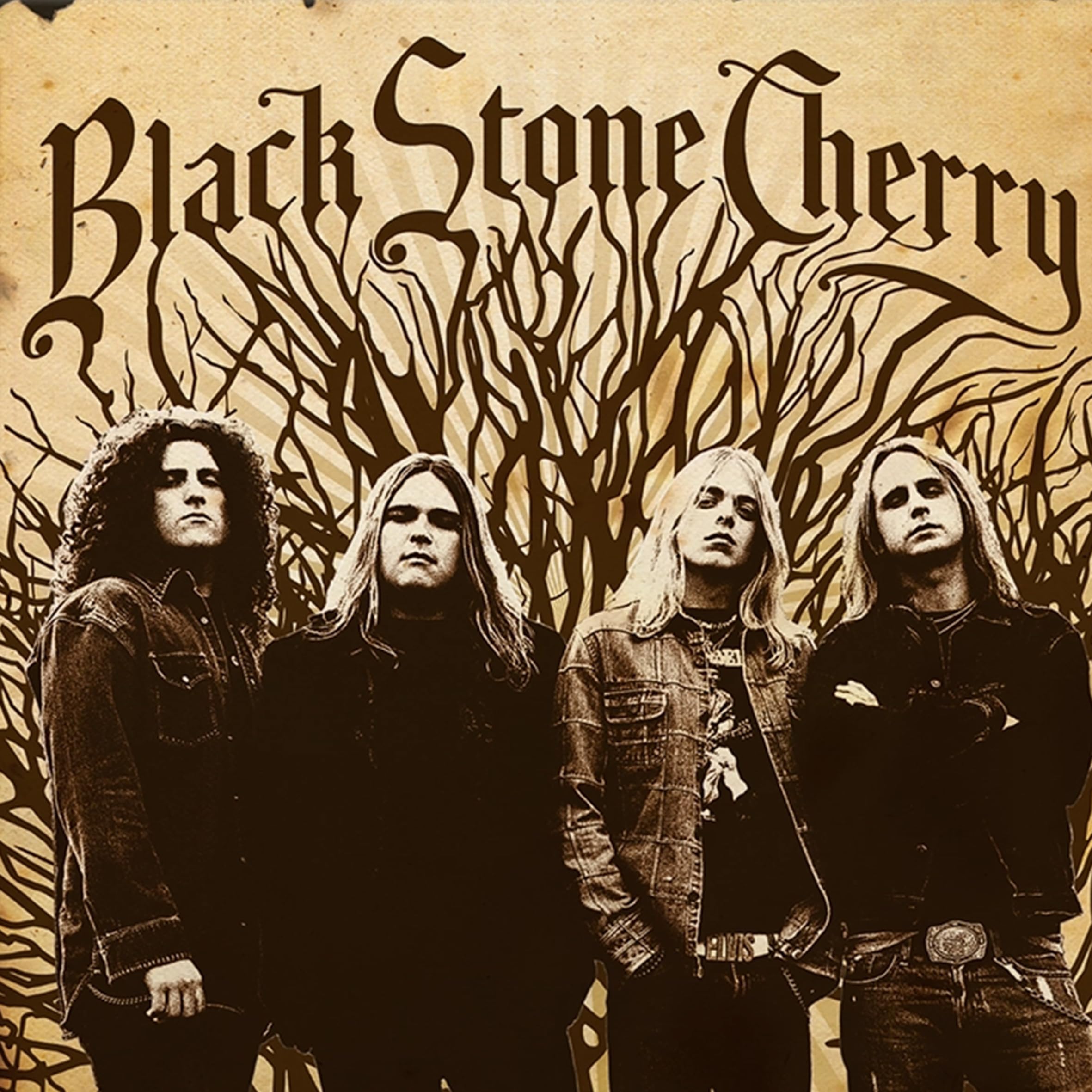Black Stone Cherry [VINYL]