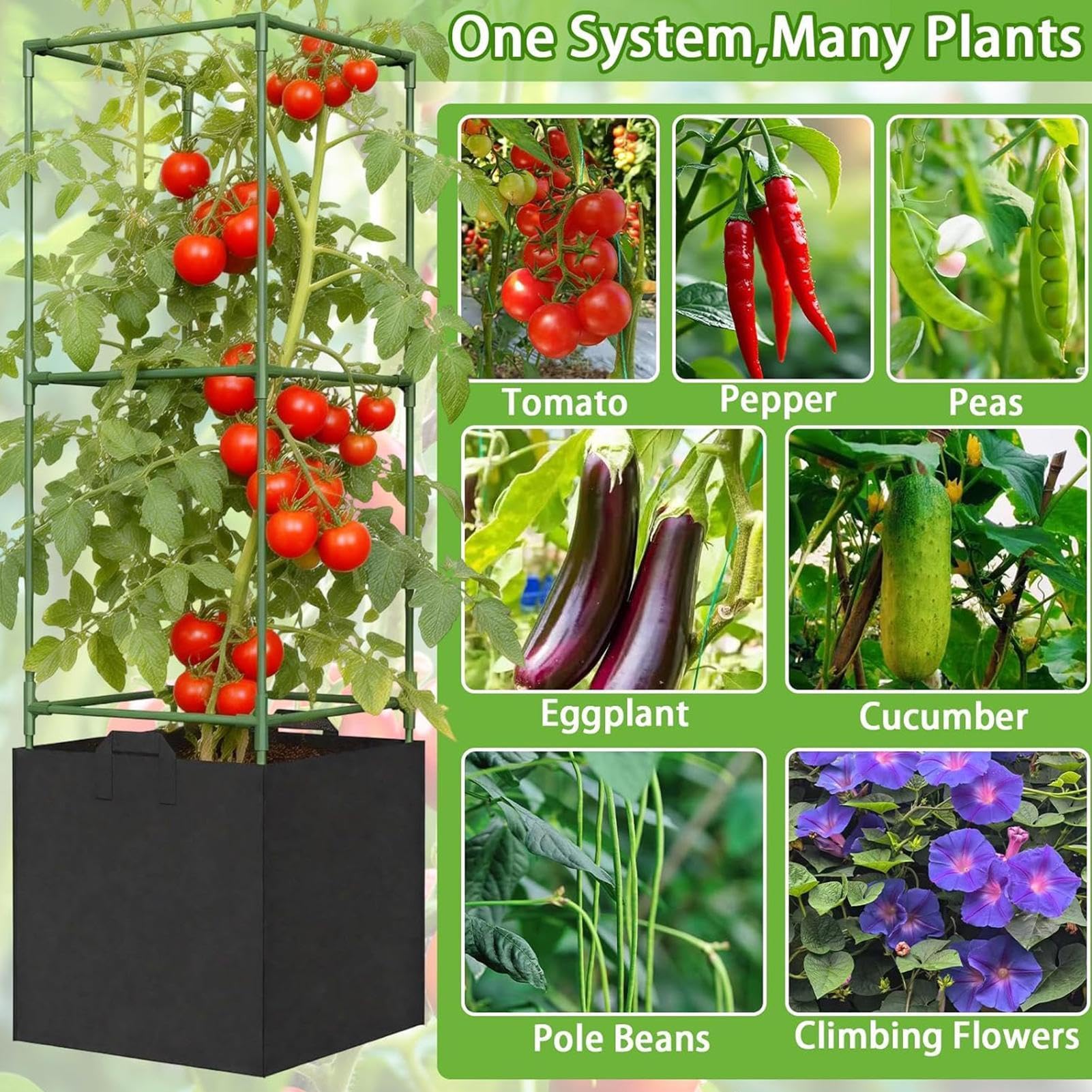 Generisch Tomatenkäfig - Hohe Rankkletterhilfe, 3 Stück - Tomaten-Rankhilfe für Hochbeet,Für Gurken, Paprika, Auberginen Und Auf Terrasse, Garten, Hochbeet