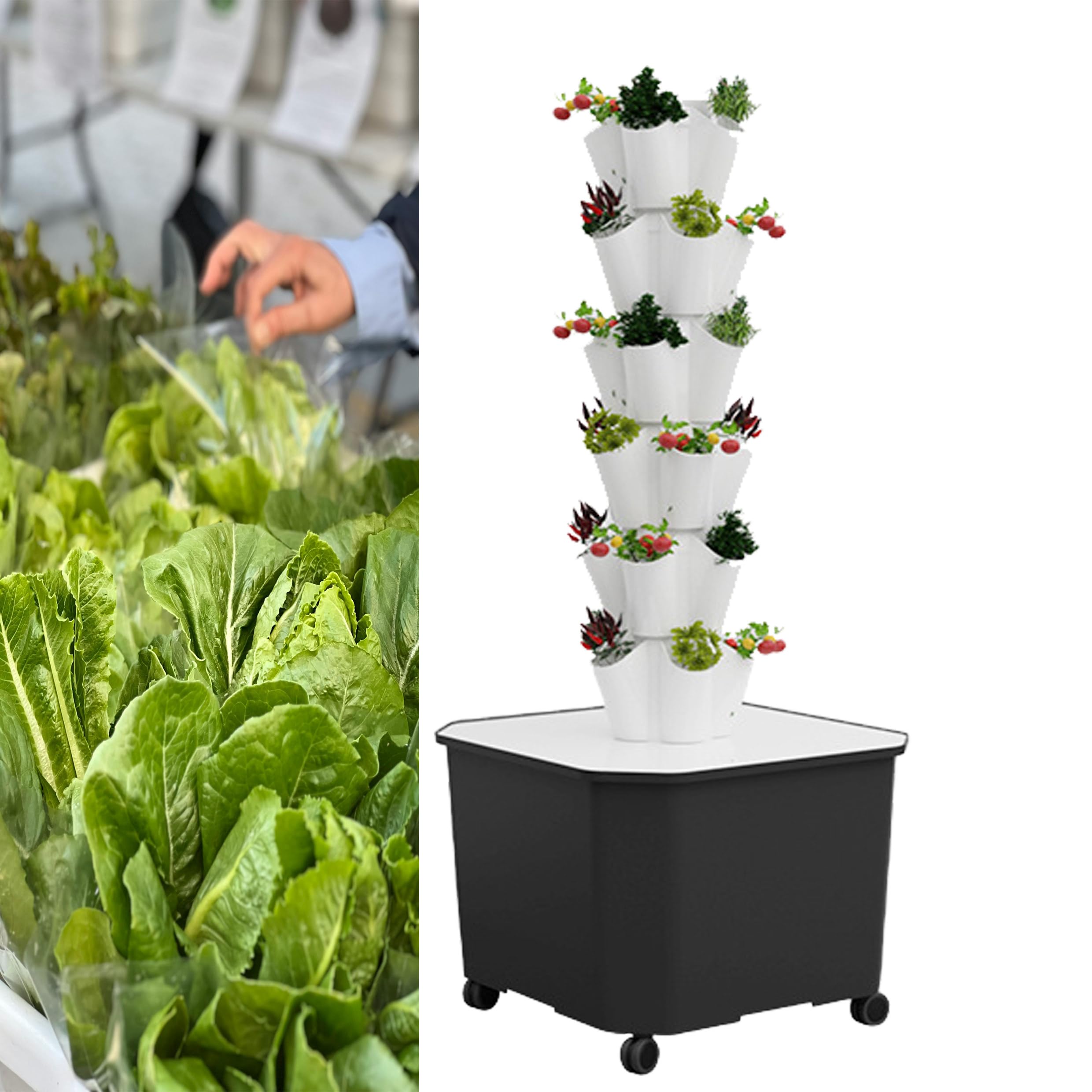 Torre de Cultivo hidropónico Vertical, Sistema de jardín Vertical hidropónico de 12 Capas con Bomba y depósito de Agua móvil. Ideal para Interiores y Exteriores, para Verduras y Hierbas. Reg