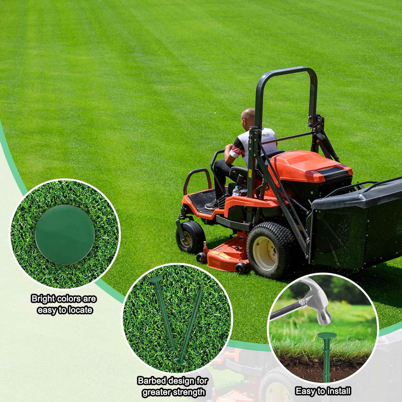 View 4