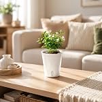 8 Pack 4 inch Self Watering Pots for Indoor Plants, Small Self Watering Planters with Visual Water Level Window, Self Watering Plant Pots for Aloe, Herbs, African Violets