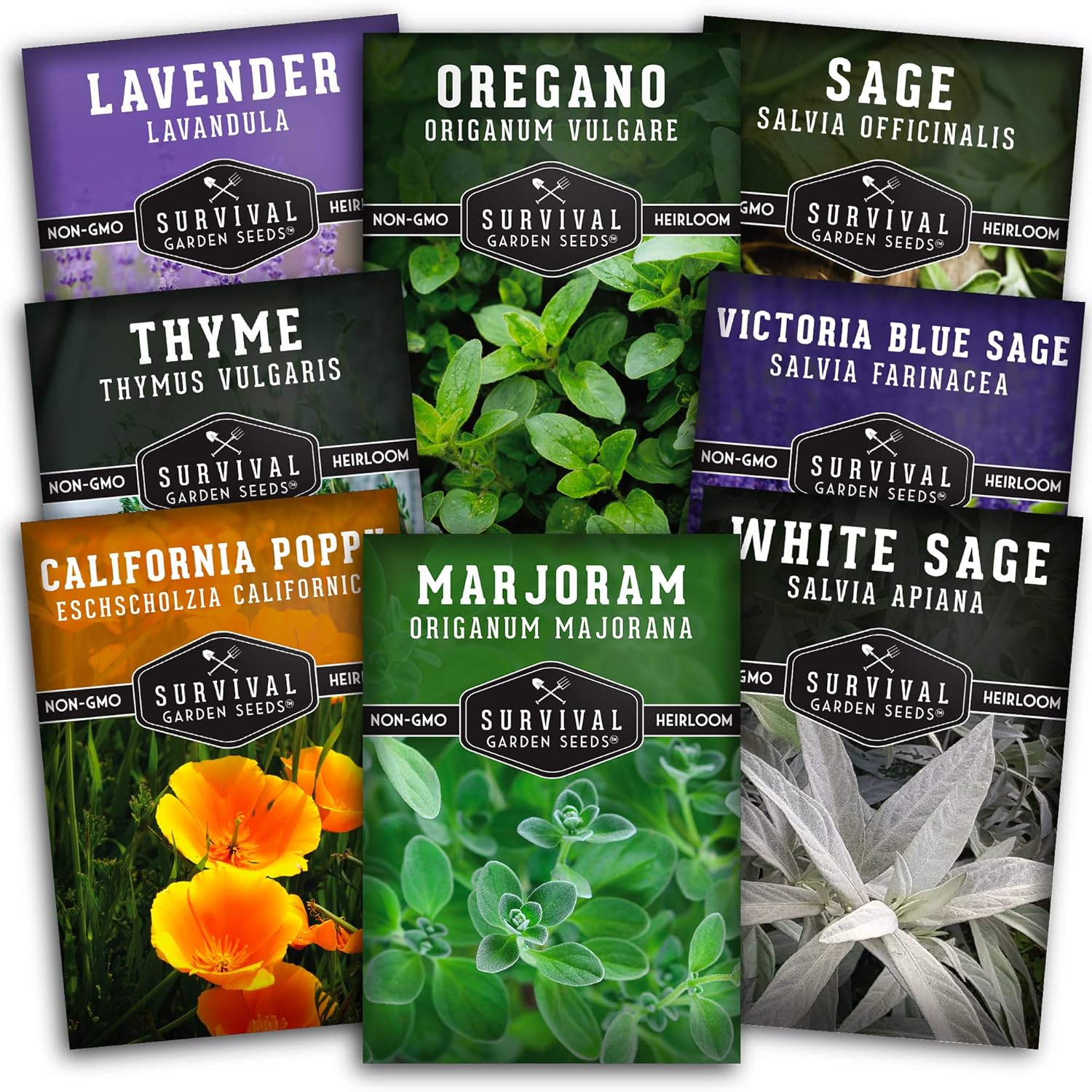 DroughtTolerant Vegetable Seed Collection 10 Packets of