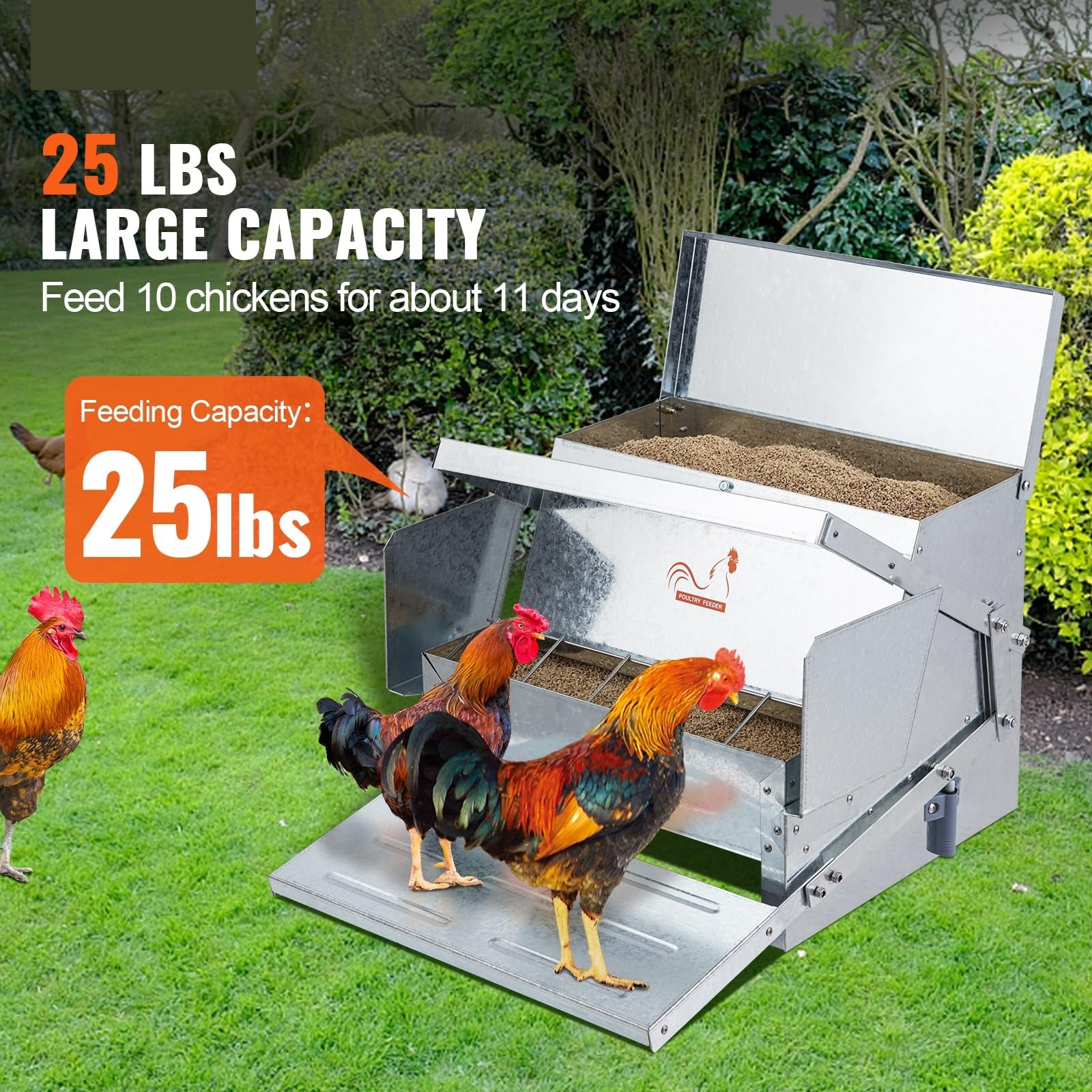 Comedero automático for pollos de 25 lb de capacidad. Alimenta a 10 pollos hasta 11 días. Comedero for aves de corral de acero galvanizado.