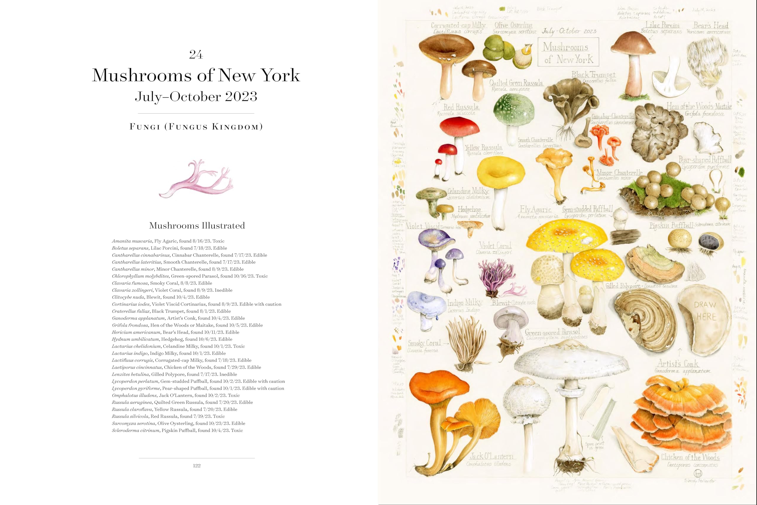 The Album of Plant Families: An Illustrated Exploration of Nature's Beauty and Bounty