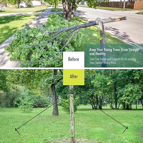Miniatura 3 de Fetanten - Juego de estacas para árbol de acero resistente de 11.8 pulgadas para apoyar árboles contra viento fuerte, con 6 correas y cuerda (13.12