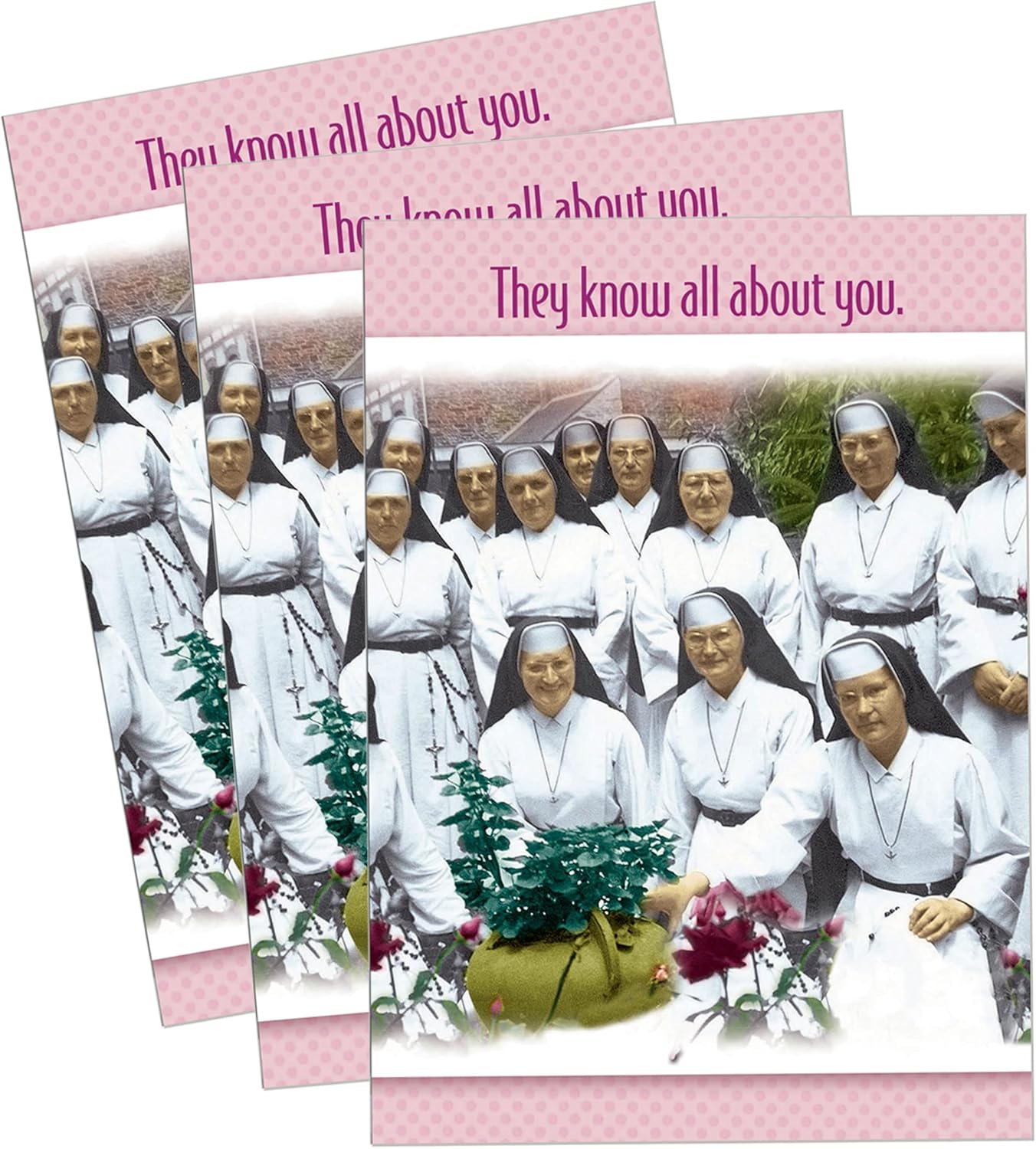 Funny Friendship Greeting Card (5 x 7) by Actual Pictures | 3 Pack + 3 Envelopes (Nuns Praying)
