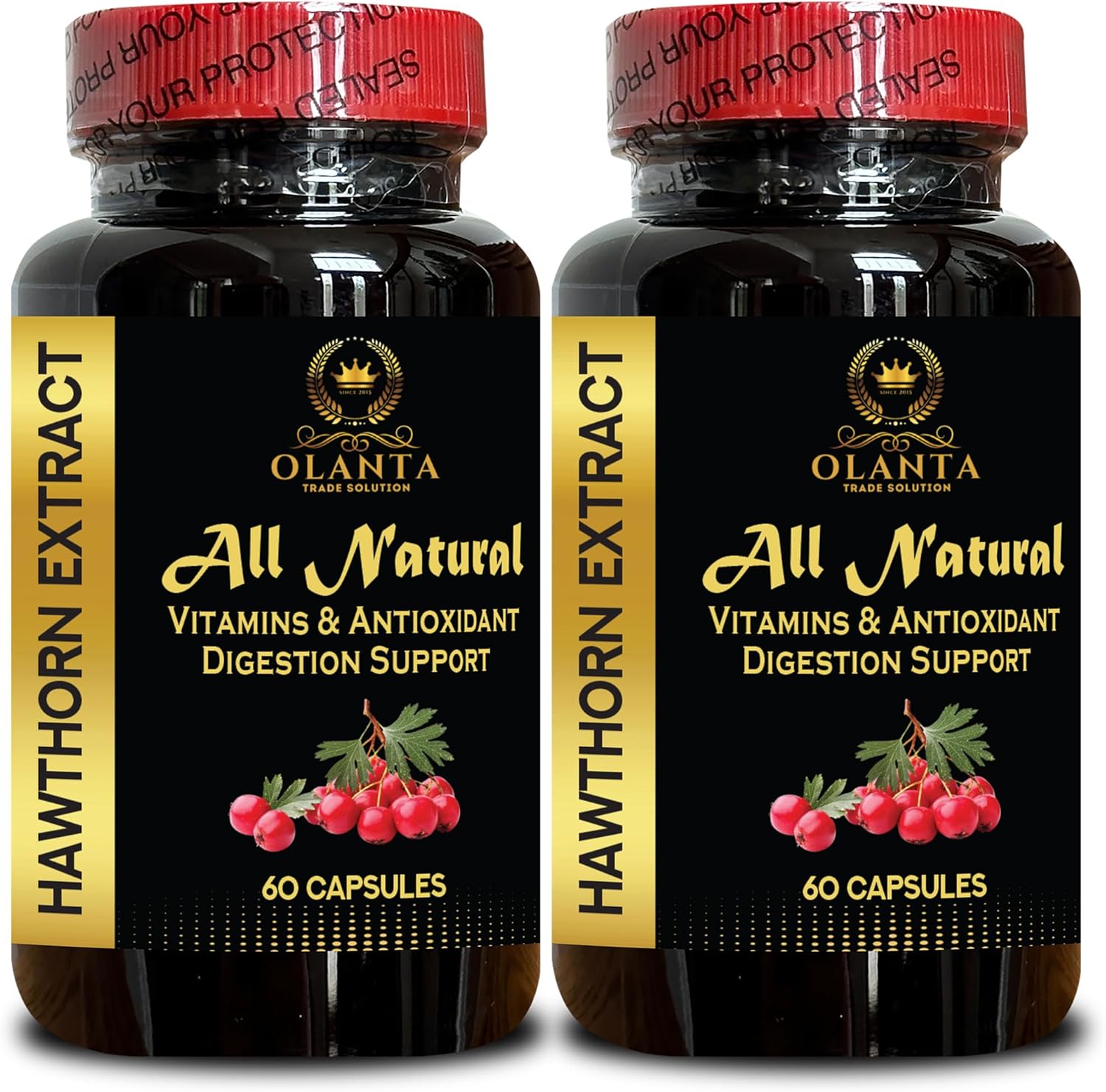 Premium Hawthorn Berry Extract – Antioxidant Supplement & Daily Wellness Formula – Hawthorne Berry Extract Supplement – Vegan, Non-GMO – 2 Bottles 120 Capsules