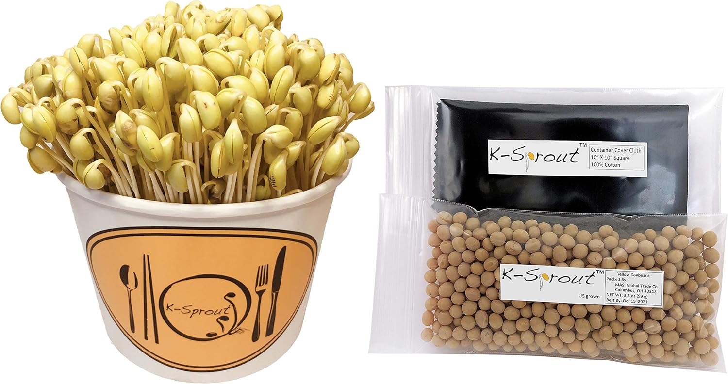 Buy KSprout Complete Soybean Sprouting Kit Kongnamul 콩나물 Growing Kit