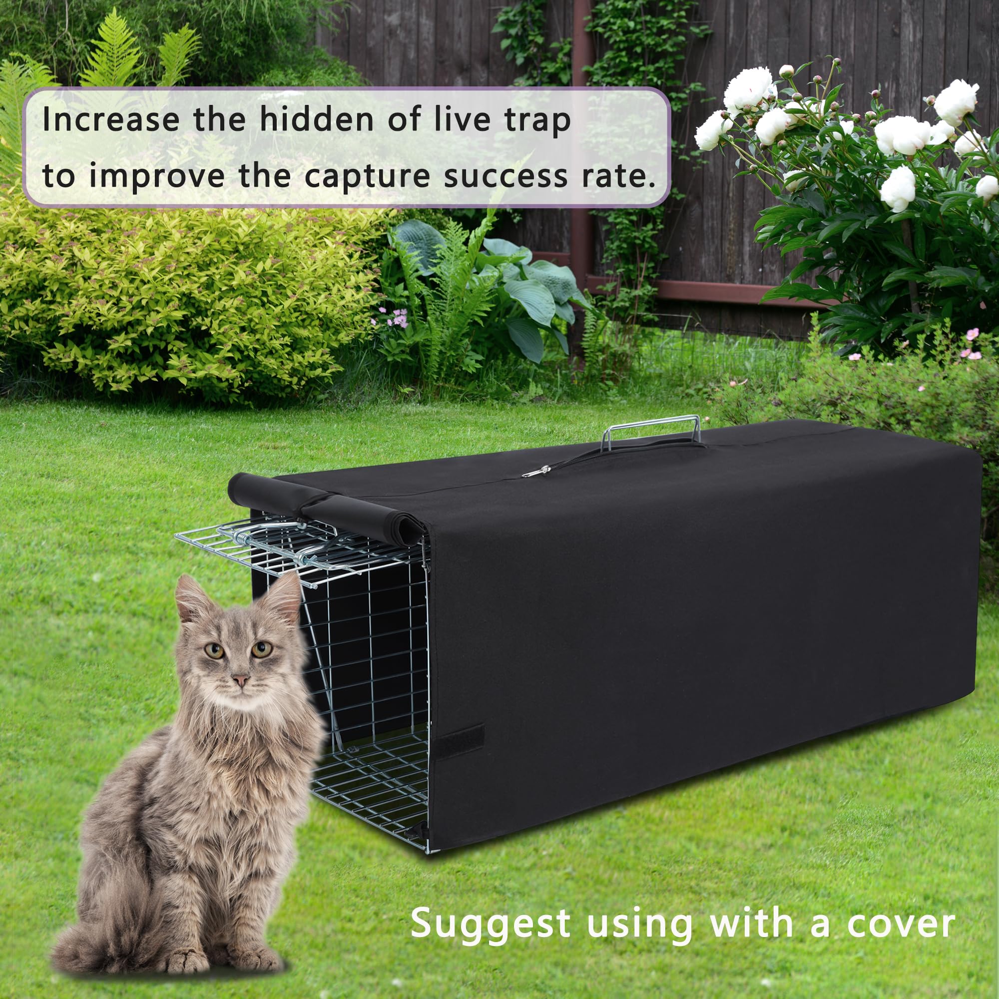 https://m.media-amazon.com/images/I/818pTR7ZH+L.jpg