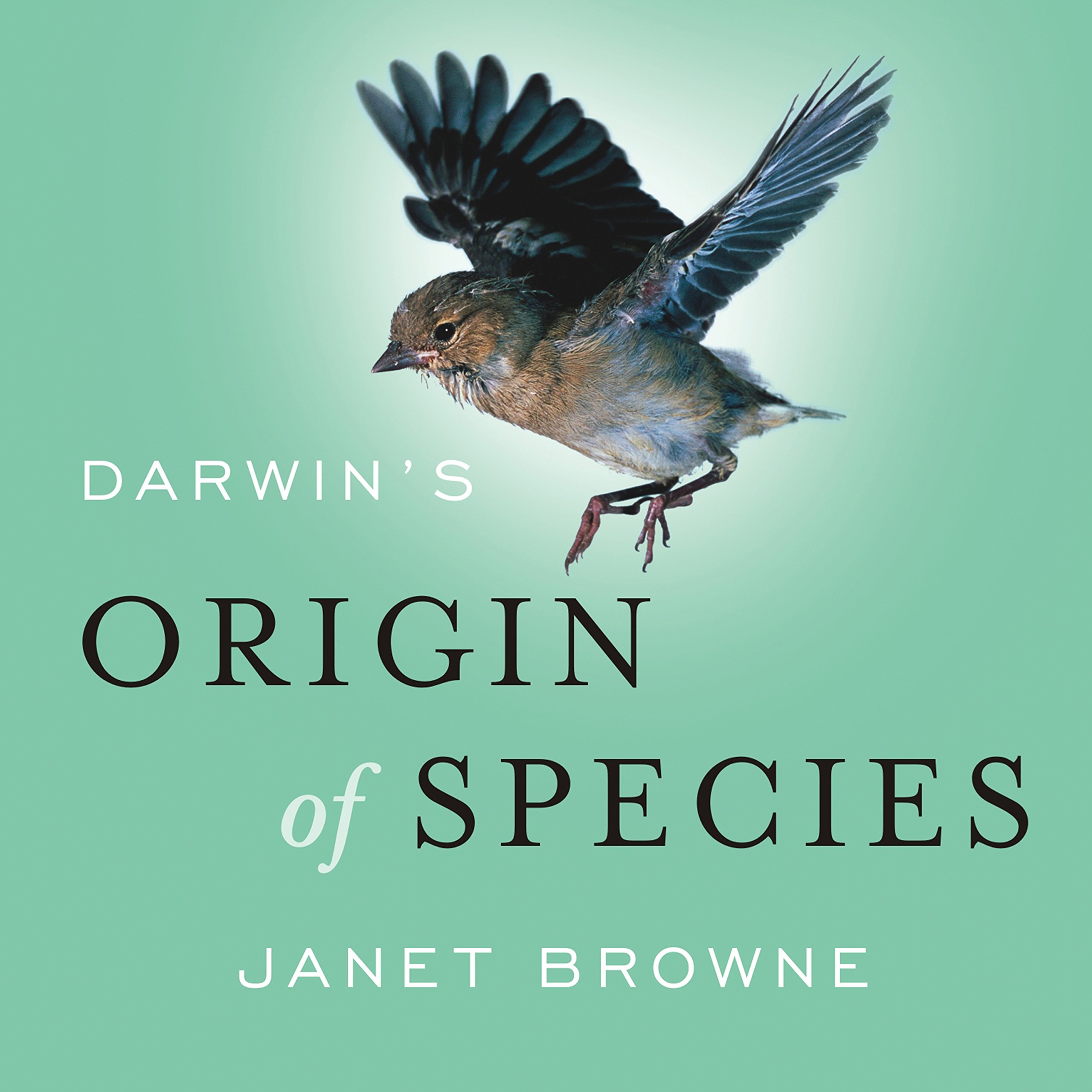 Cover art for Darwin's Origin of Species