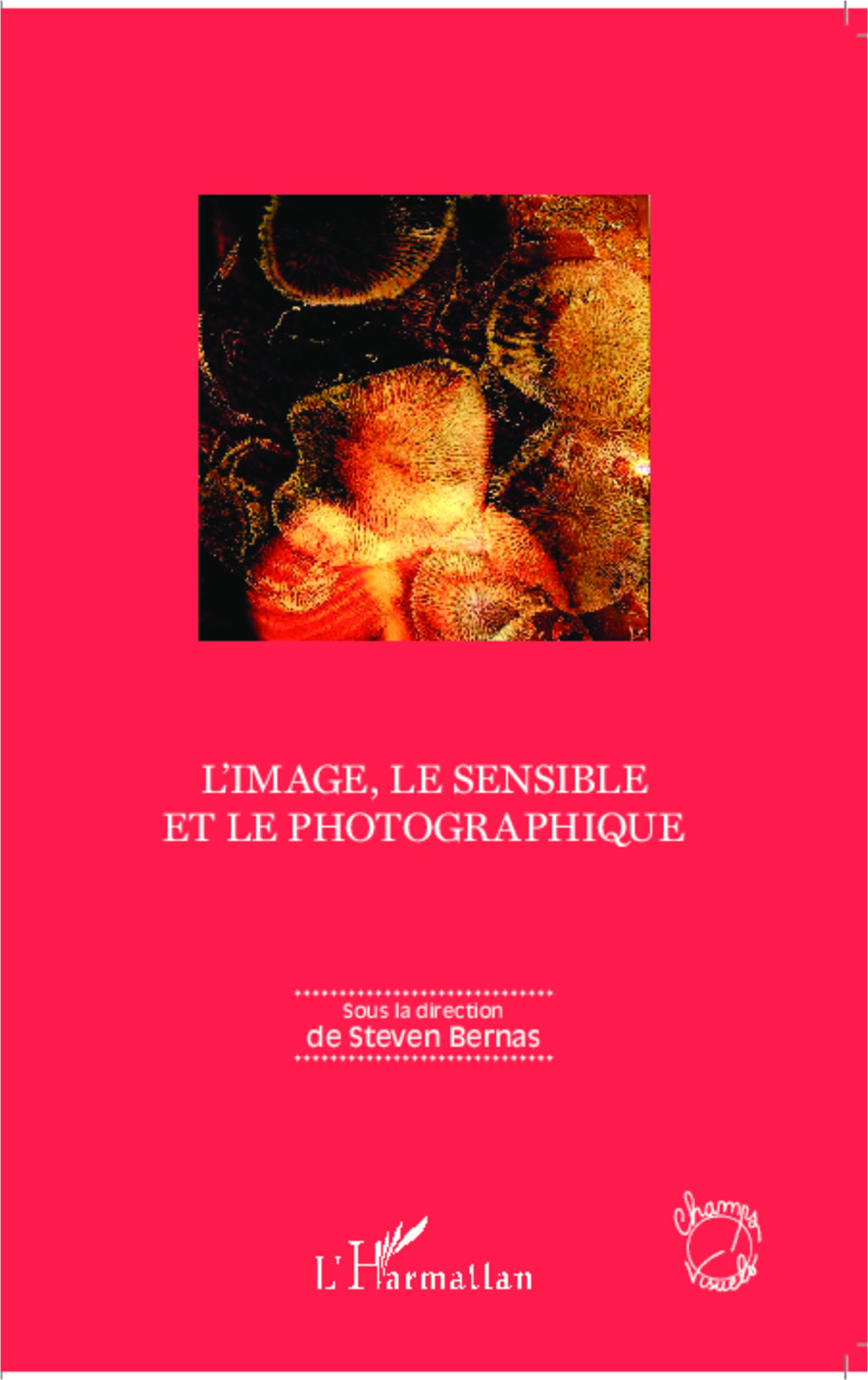 L'image, le sensible et le photographique - Livre de cours pour étudiants en art