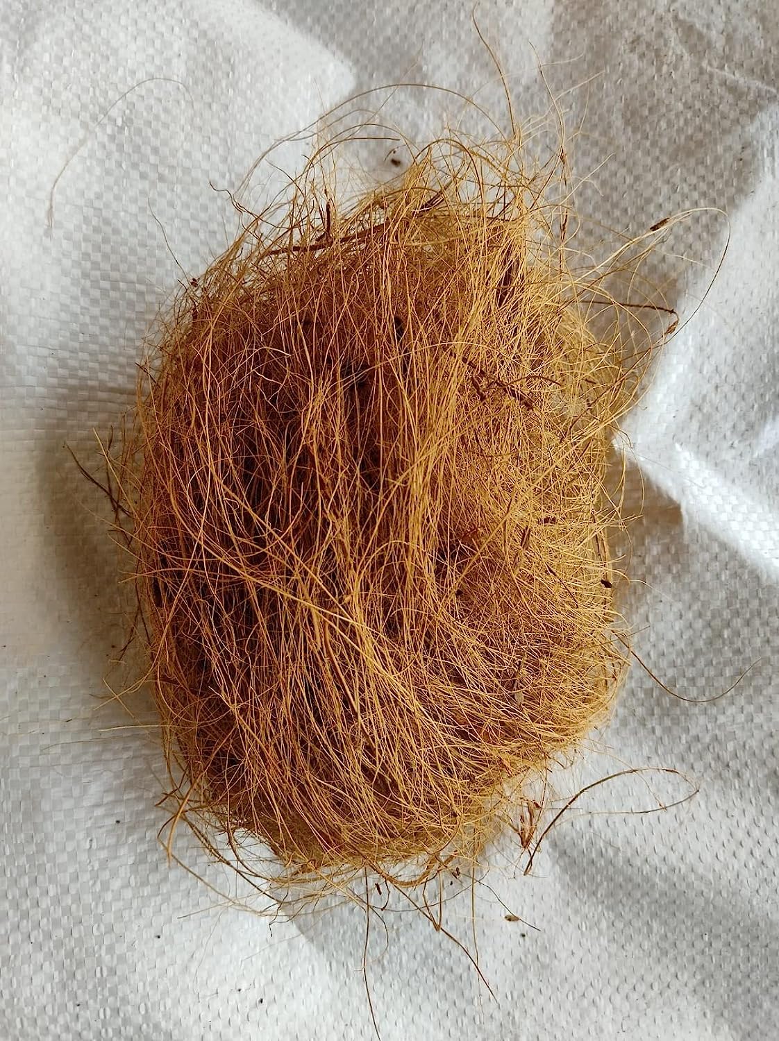 Monser Fiber for Plants, Natural Coconut Fiber Nesting Material (1 KG) (B0CB46CKKF) Amazon Price History, Amazon Price Tracker