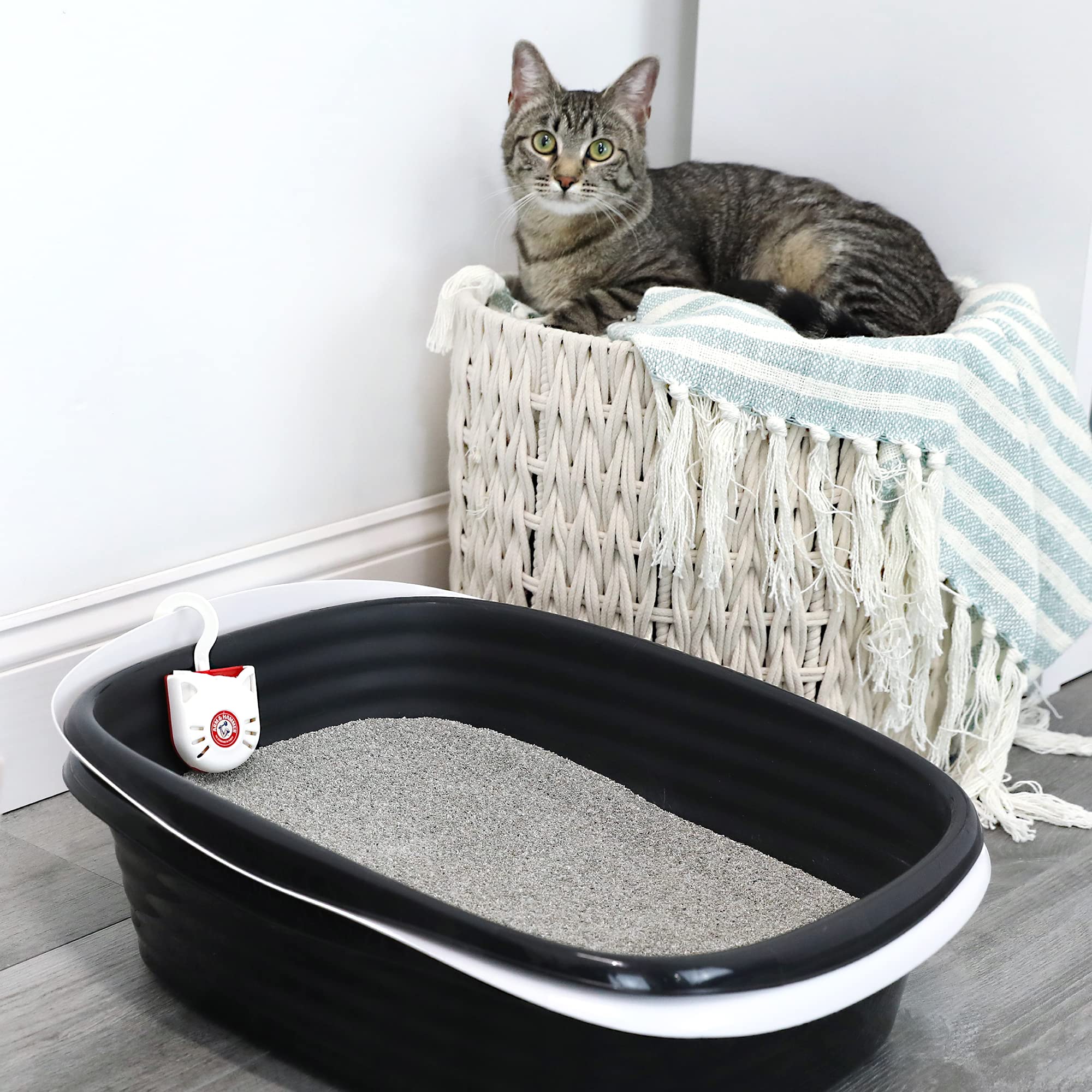 Arm & Hammer Cat Litter Pan Purrifying Pak, Removeable 30 Day Litter Box Deodorizer, 3-Pack - image 6