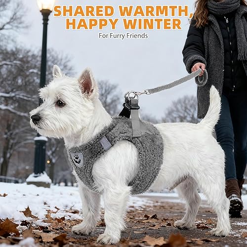Miniatura 119 de KOOLTAIL Juego de arnés y correa para perros pequeños y medianos, arnés de malla suave sin tirones para perro, cómodo chaleco acolchado