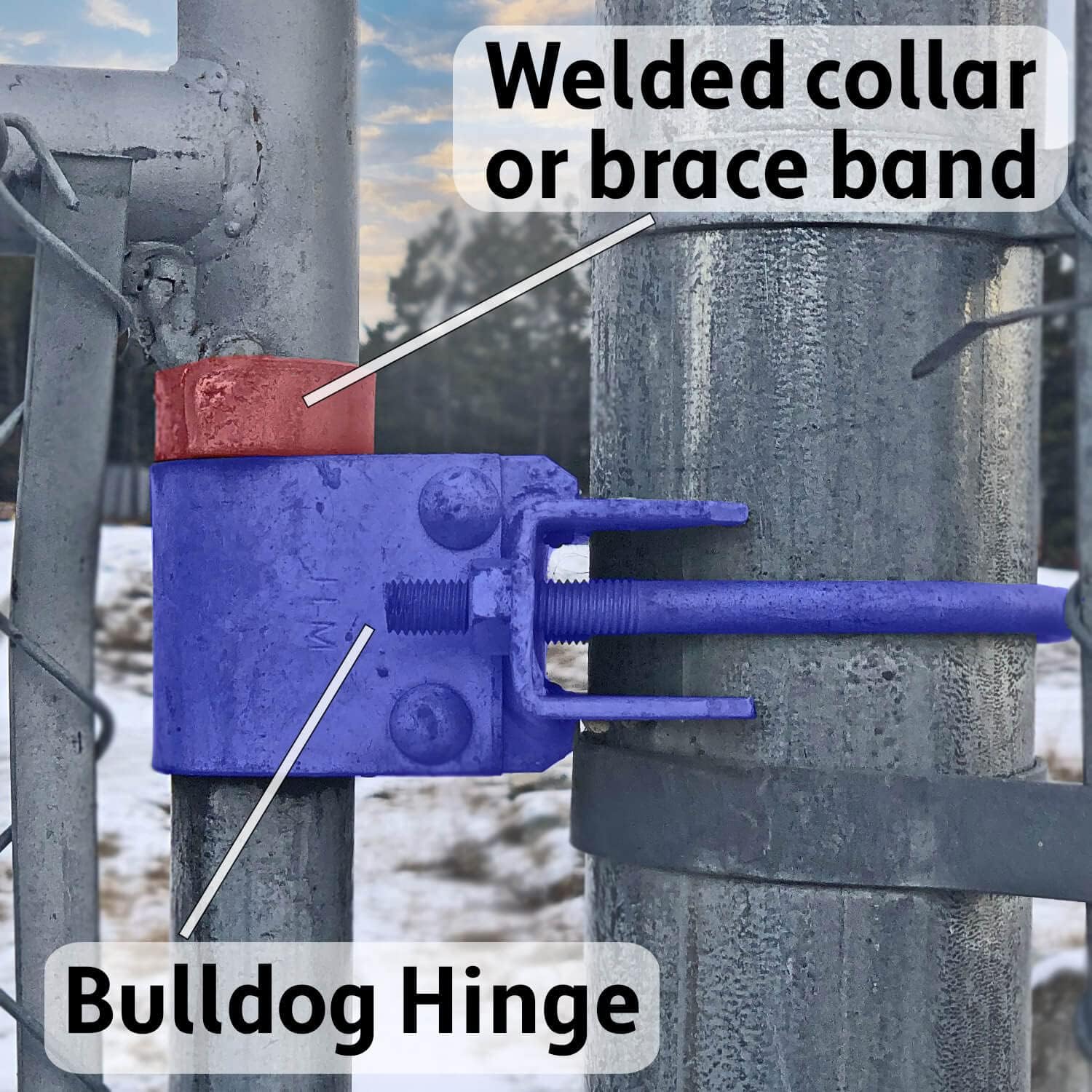 Chain Link Fence "Bull Dog" Commercial Duty Gate Hinge-for 3-1/2" Outside Diameter Gate Post/Pipe & 1-5/8" thru 1-7/8" Gate Frames-Galvanized Chain Link Post Gate Hinge -includes Nuts/Bolts (2 PACK)