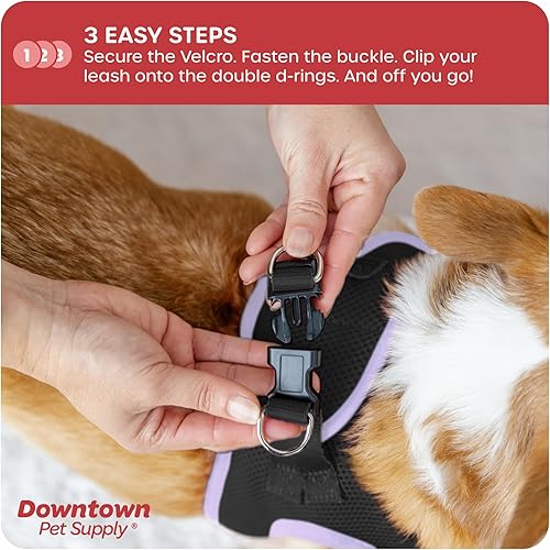 Miniatura 5 de Downtown Pet Supply - Arnés ajustable para perro con chaleco acolchado, fácil de poner en perros pequeños, medianos y grandes (negro con borde