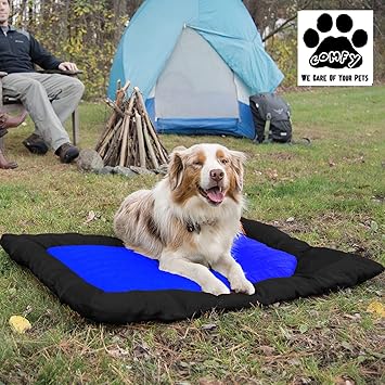 Comfy Double Coating Fabric Waterproof Dual Side Usable Summer and Rainy Special Travel Dog/Cat Bed (Black/Blue, Medium)