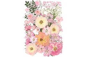 Purple Haze: Pink Pressed Dried Lilac Flowers for a Touch of Enchantment