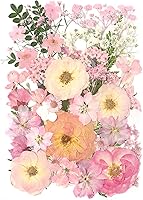 AHTONG 14 Types Pink Dried Pressed Flowers & Leaves Kit for Resin Jewelry, Crafts, Scrapbooking - 48pcs Peach Fuzz Herbarium