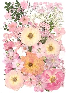 AHTONG 14 Types Pink Dried Pressed Flowers & Leaves Kit for Resin Jewelry, Crafts, Scrapbooking - 48pcs Peach Fuzz Herbarium