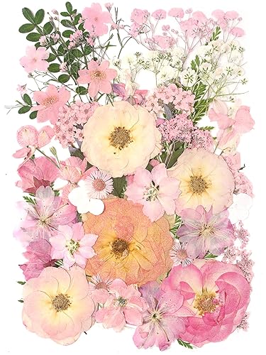 AHTONG 14 Types Pink Dried Pressed Flowers for Craft, Leaf