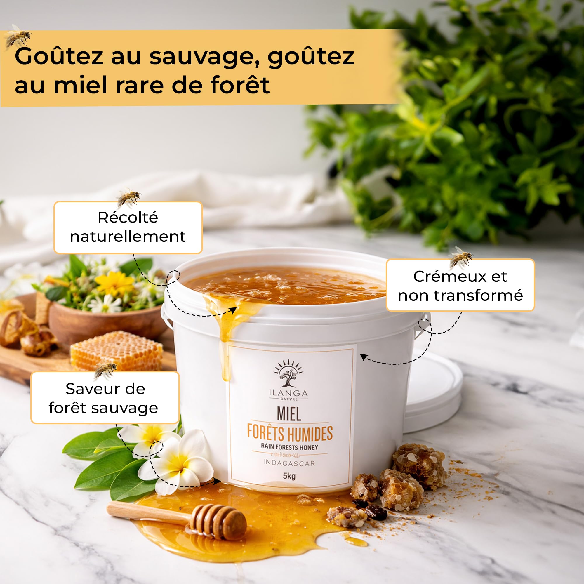 Ilanga Nature Miel de Forêt de Madagascar 5 kg, Miel Brut Naturel Pur à 100%, Récolté Directement auprès d'Apiculteurs Locaux, Origine Traçable, Saveur Florale Tropicale Intense, Sans Additifs ni