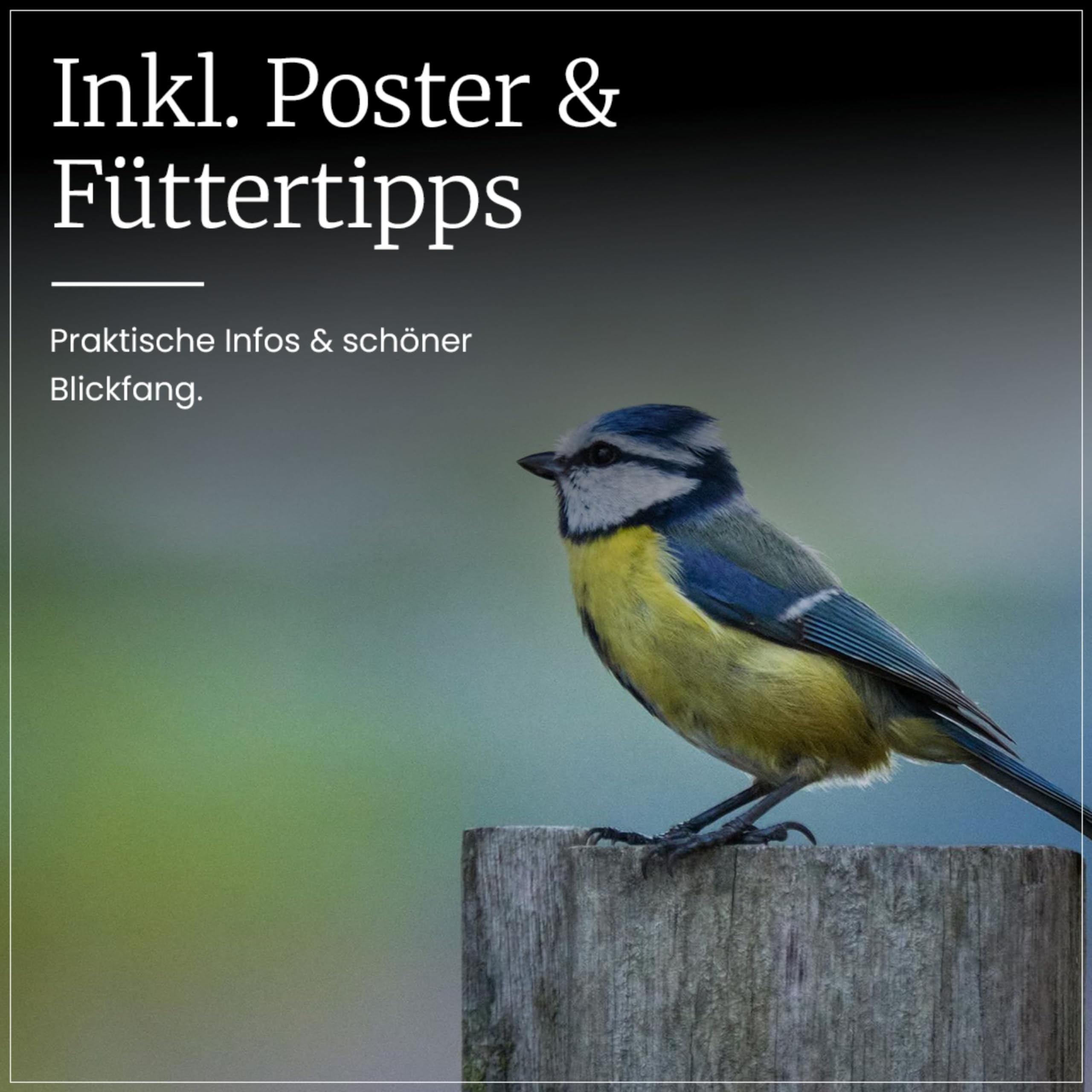 Erdtmanns Wildvogelfutter Starterpaket (1 x 2.15 kg) – mit Futterspender & Buch von Peter Berthold – inkl. Poster & Füttertipps für Sommer & Winter – Vogelfutter – Geschenkset für Naturfreunde