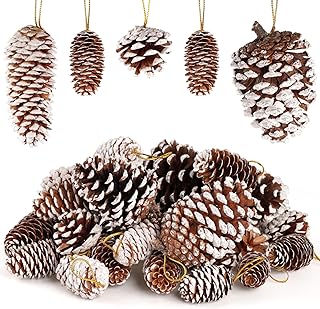 JOHOUSE 28PCS Natural Pine Cones with Strings, Hanging Christmas Ornamen...