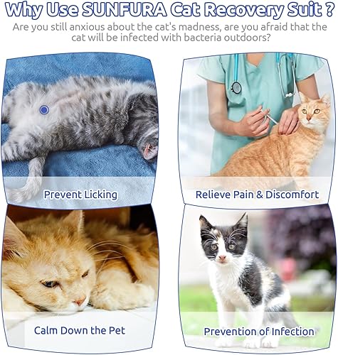 Miniatura 4 de SUNFURA Traje de recuperación para gatos, body quirúrgico completo para protector de heridas abdominales, antilamidas después de la cirugía,