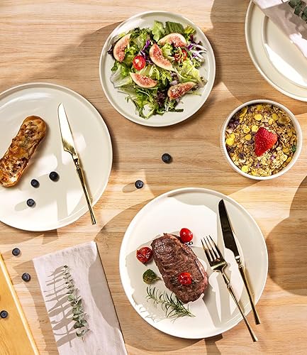 Miniatura 3 de TheTerra - Juego de vajilla de cerámica para 8, 24 piezas, juego de platos y cuencos ligeros de porcelana, resistentes a los arañazos, aptos para