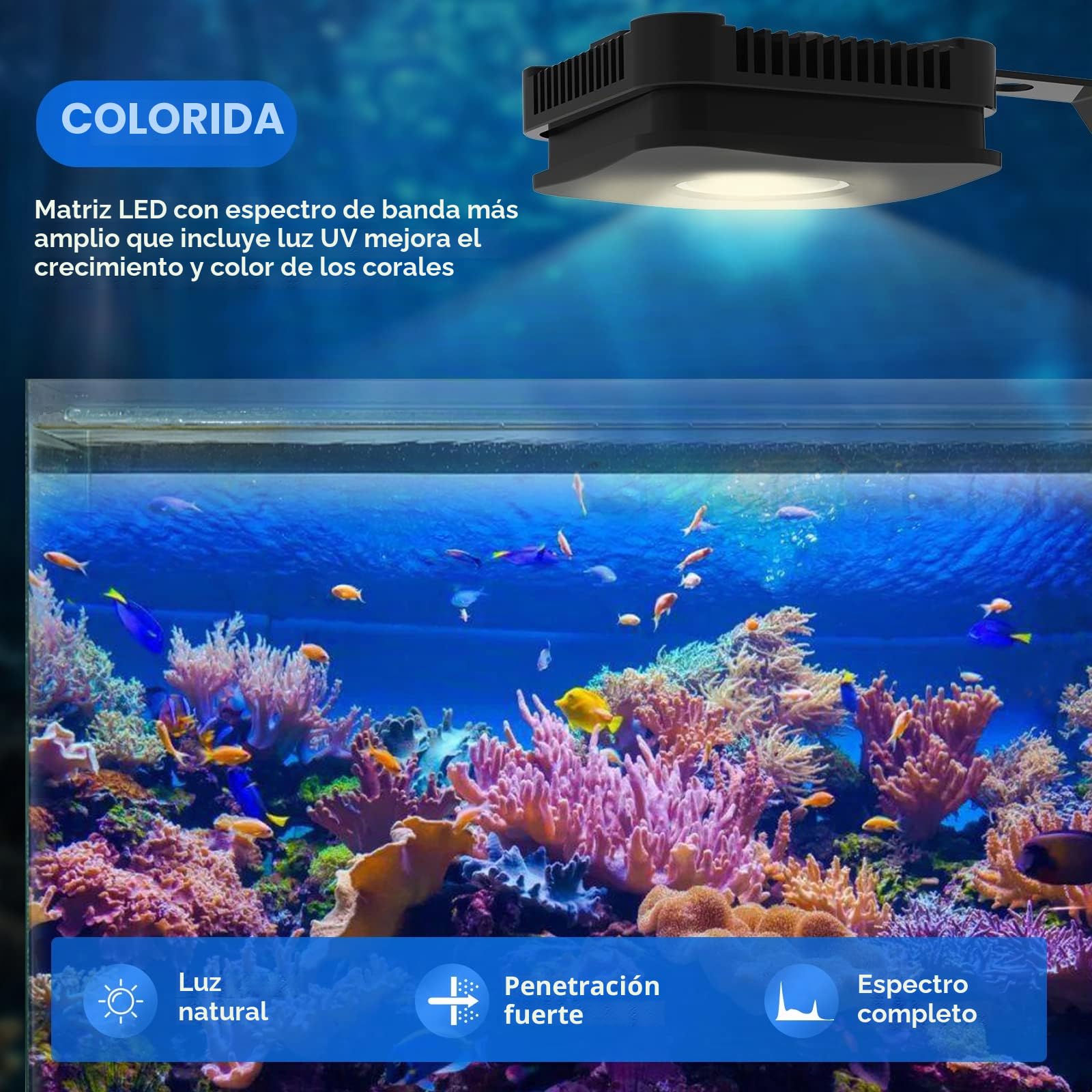 Lominie Luz LED para acuario, luz regulable para pecera con mando RF y soporte, espectro completo para peces marinos y tanques de arrecife coralino (Pxie30 Marino) (P30 Agua Salada)