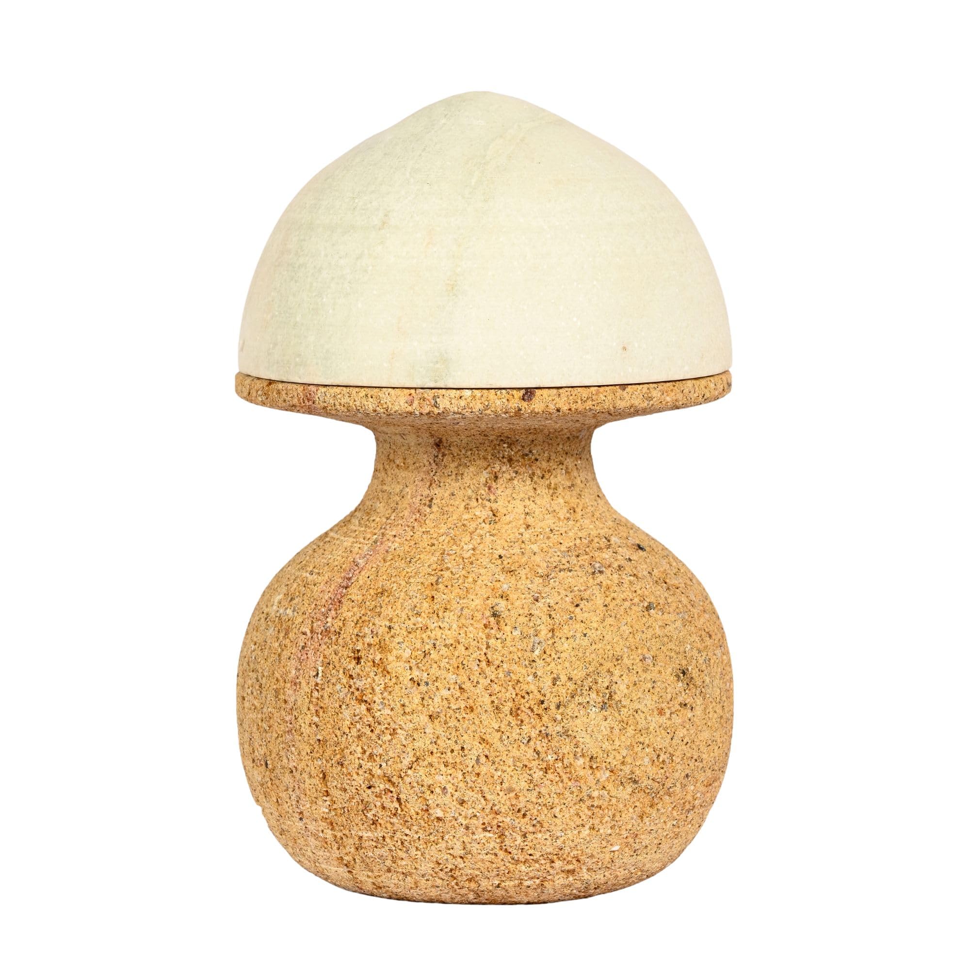 Decorative Lamp for Home & Office Décor | 11X11X24 cm-image-44