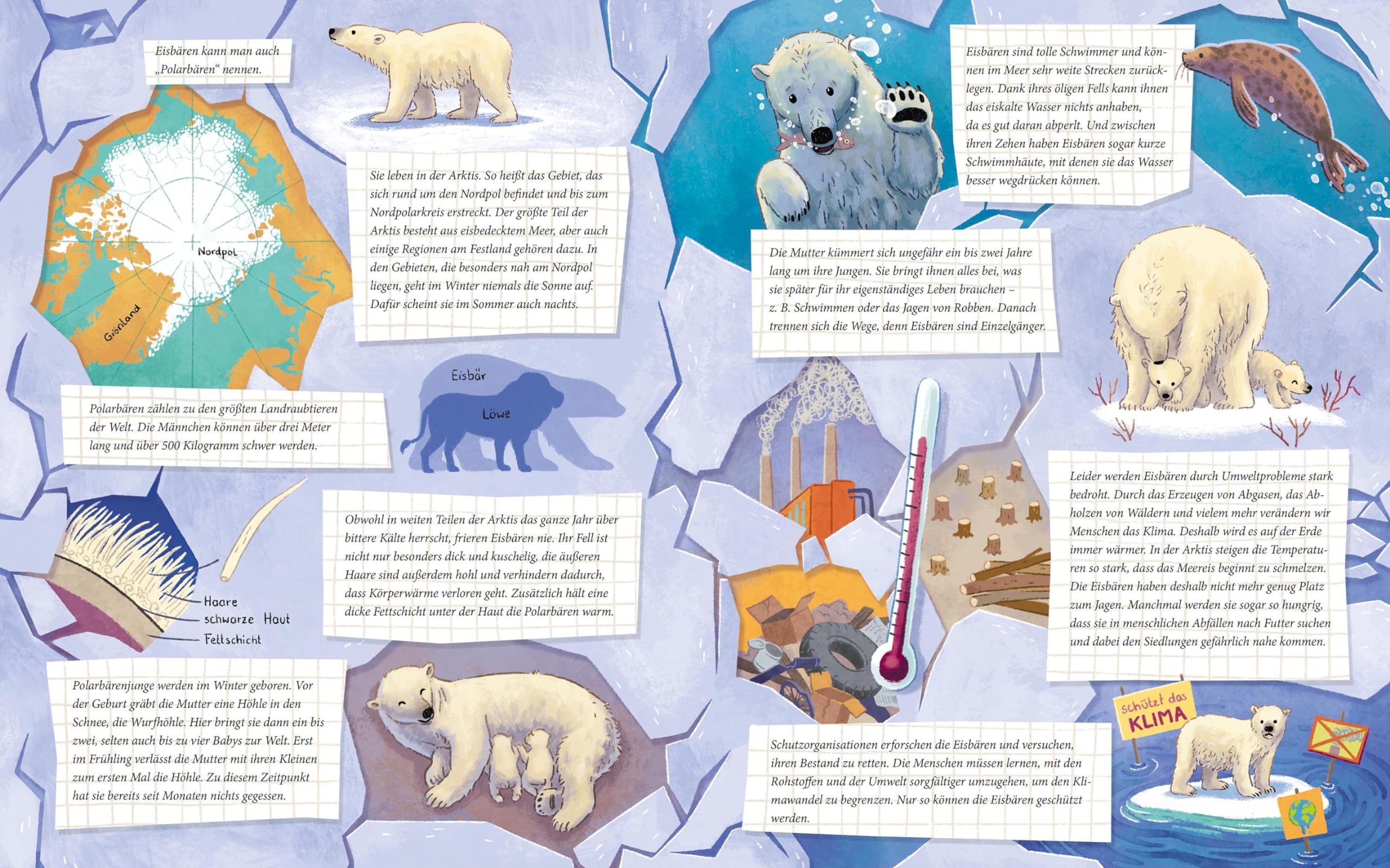 Der kleine Polarbär - Zu Hause in der Arktis: Ein Sachbilderbuch für Kinder ab 4 Jahren (Tierkinder und ihr Zuhause)