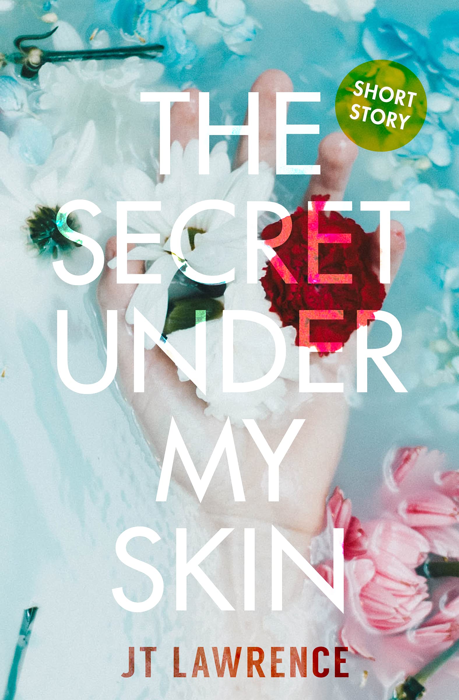 Cover of The Secret Under My Skin