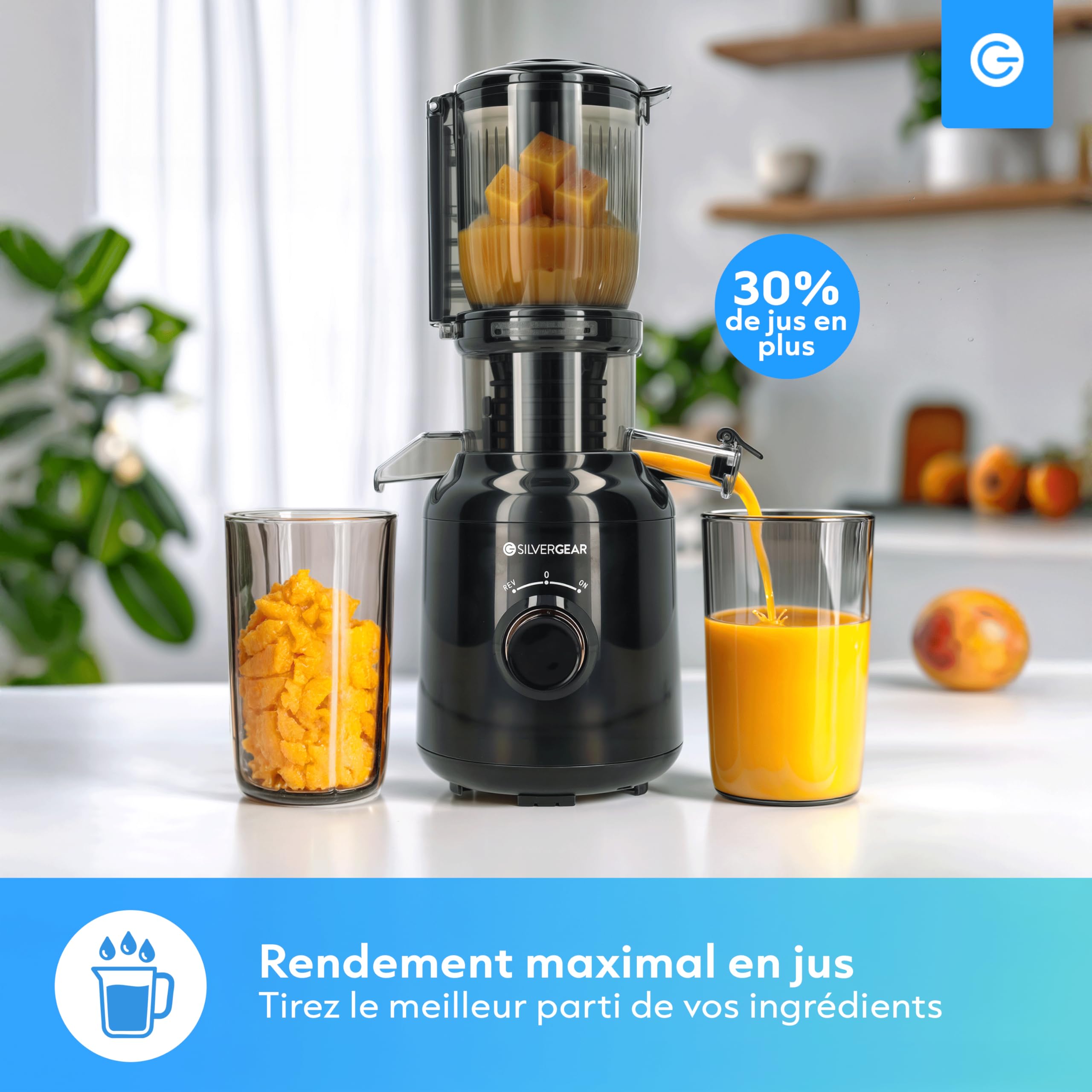 Silvergear Extracteur de Jus 250 W 60 tours/minute Goulotte 103mm Noir
