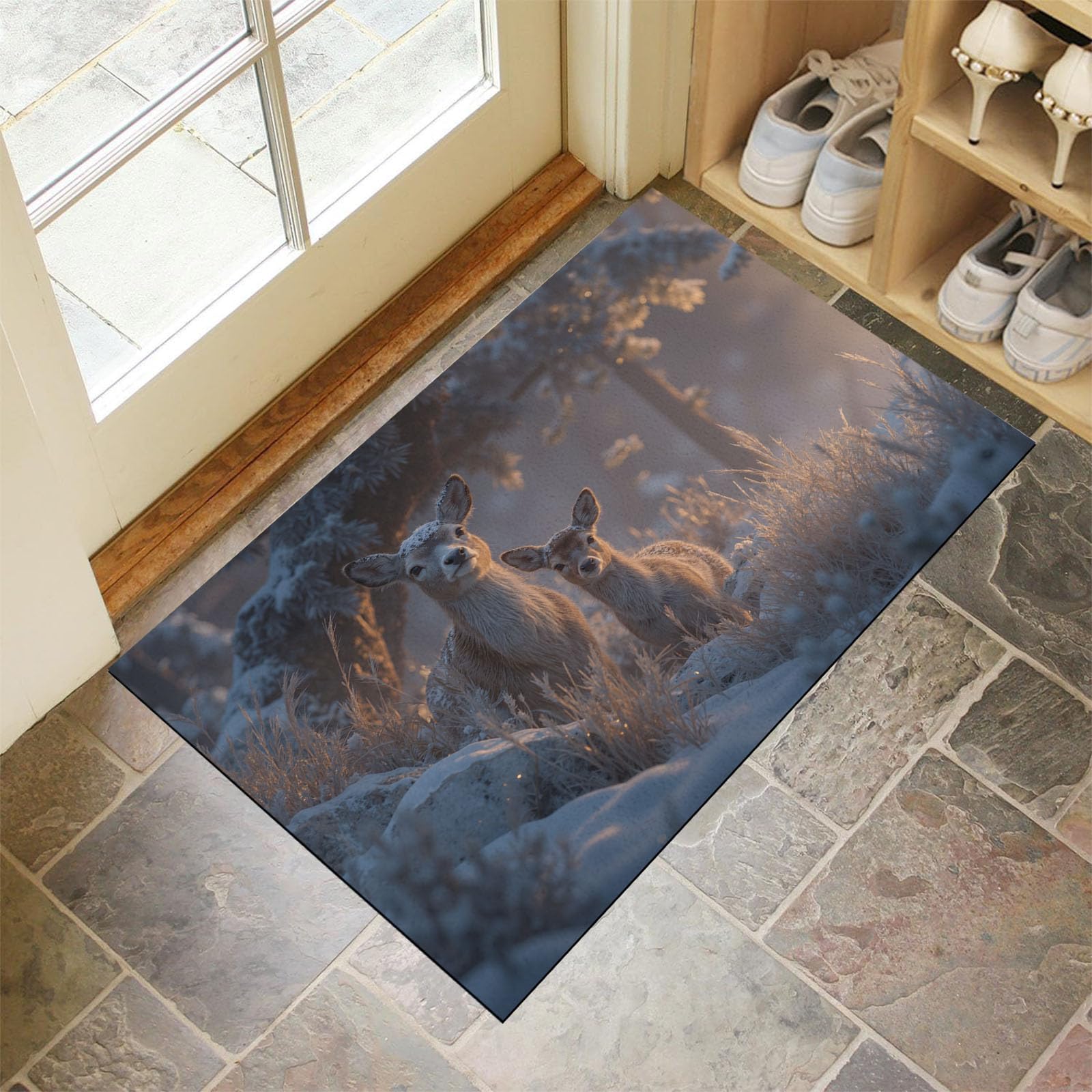 Tapis entrée intérieur lavable pour sublimer vos couloirs