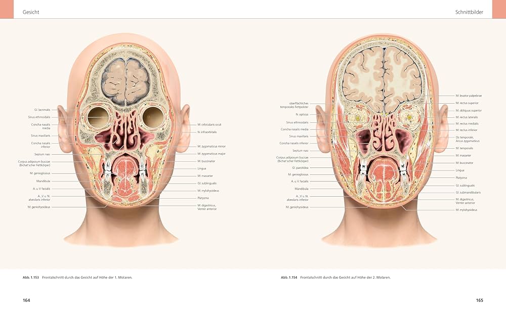 洋書 Das Gesicht der Welt Das Gesicht der Welt 洋書