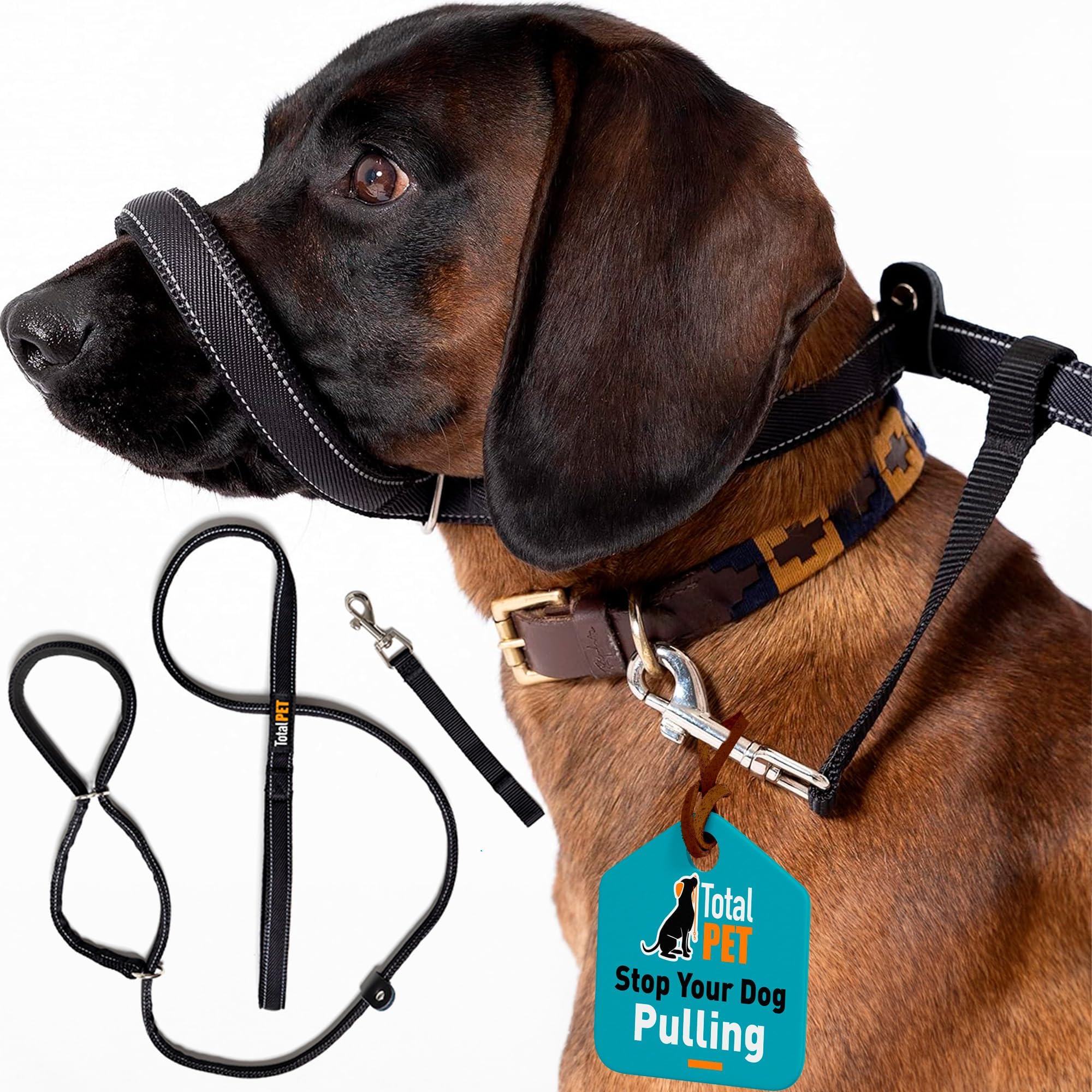 Figure of 8 Dog Lead - Flat Anti Pull Stop Dogs Pulling – Slip Leads Reflective with Padded Nose Support (180cm)