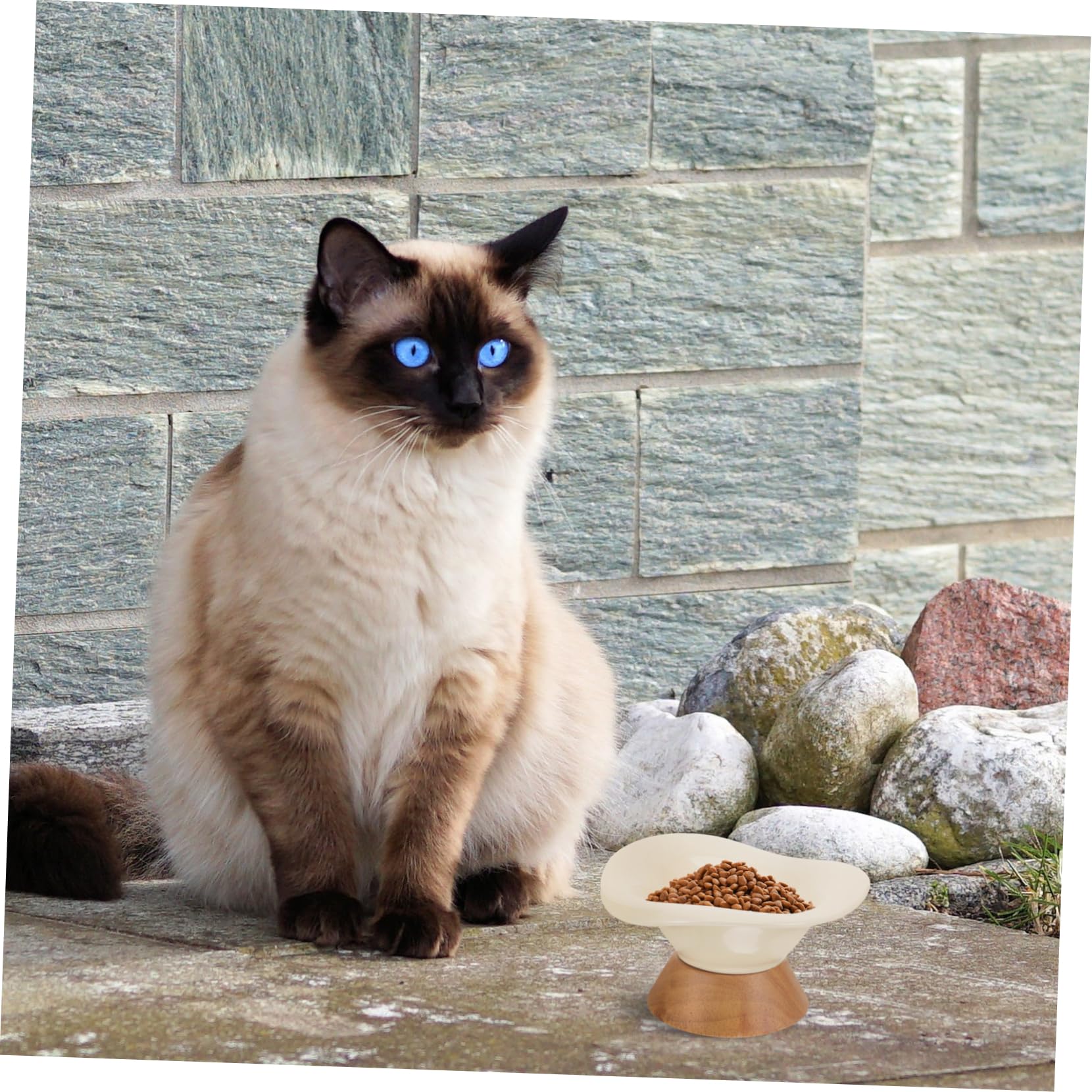 Cuenco para Gatos Flores Cuenco De para Gatos De Comida y Agua para Mascotas