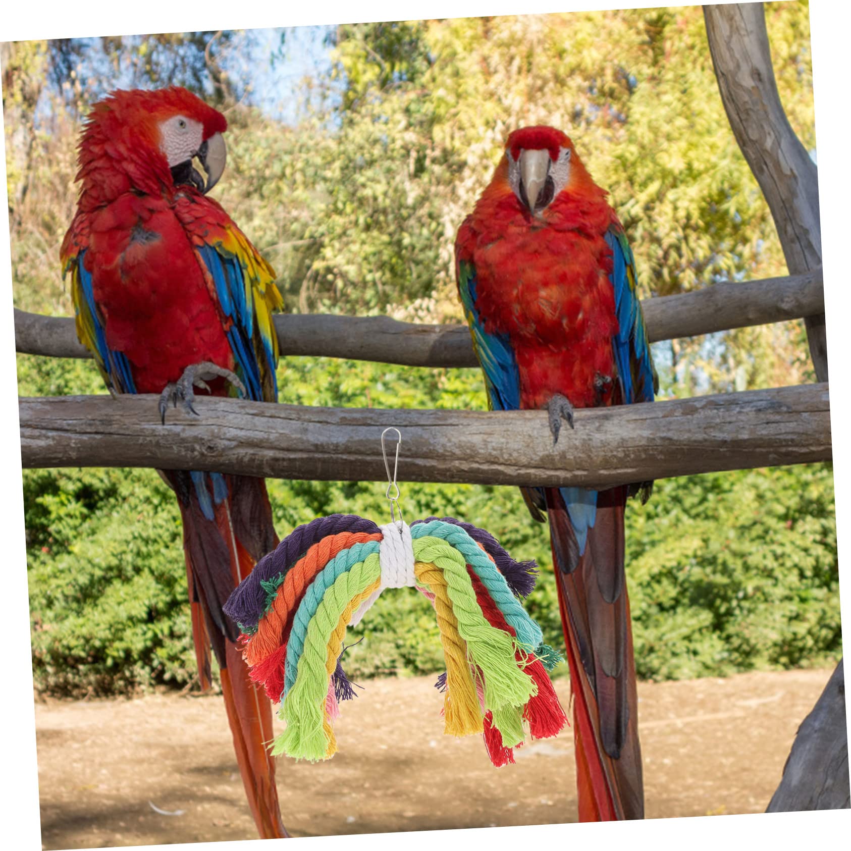 PRETYZOOM 5pezzi Giocattolo Per Uccelli Cotone Con Corda Per Pappagalli Resistente e Sicuro Per Parakeets Cockatiels e Altri Uccelli Di Piccole e Medie Gioco Da Masticare