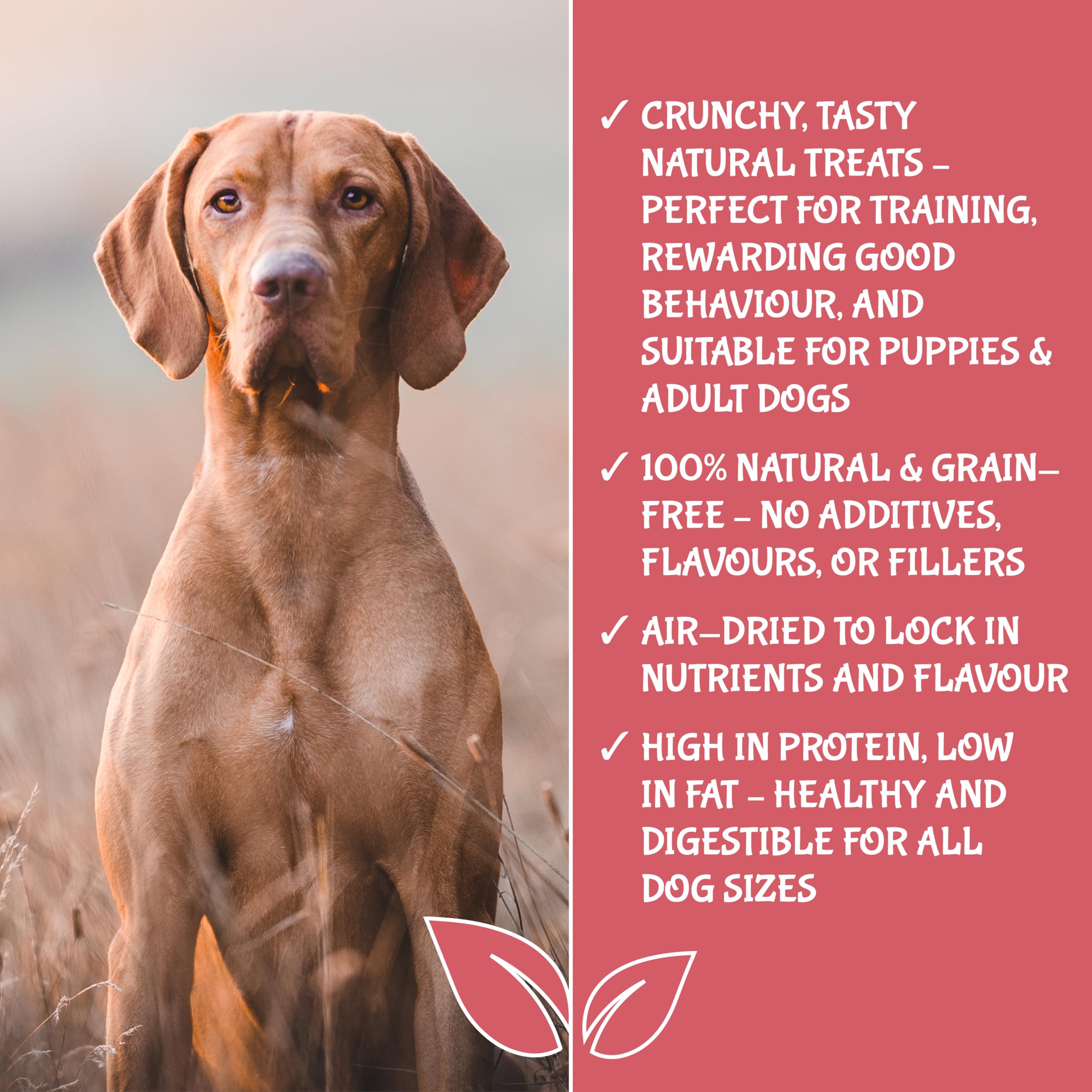 UPRAW Natural Dog Training Treats in bulk, 1kg 100% Pure Meat Training Cubes, Natural Hypoallergenic, Grain Free - Image 4