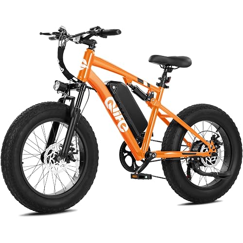 Qlife Racer Fat Tire Series Electric Bike for Adults, 20+MPH, 50/65 Miles Mountain Ebike with Peak 1200W Brushless Motor, 48V 10AH/13AH Removable Battery, 20X4.0 Tire Step Over E-MTB with 7-Speed