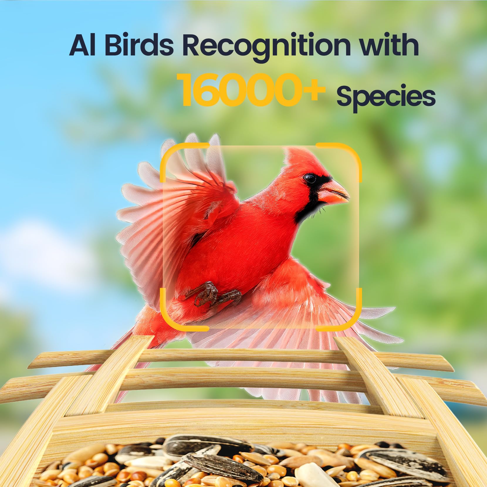 Mangiatoia intelligente per uccelli con fotocamera, ricarica solare a lunga durata, versione limitata Smart Bird Feeder, AI identifica oltre 16.000 specie di uccelli, scheda SD da 128 GB per